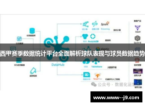 西甲赛季数据统计平台全面解析球队表现与球员数据趋势
