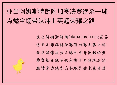 亚当阿姆斯特朗附加赛决赛绝杀一球点燃全场带队冲上英超荣耀之路
